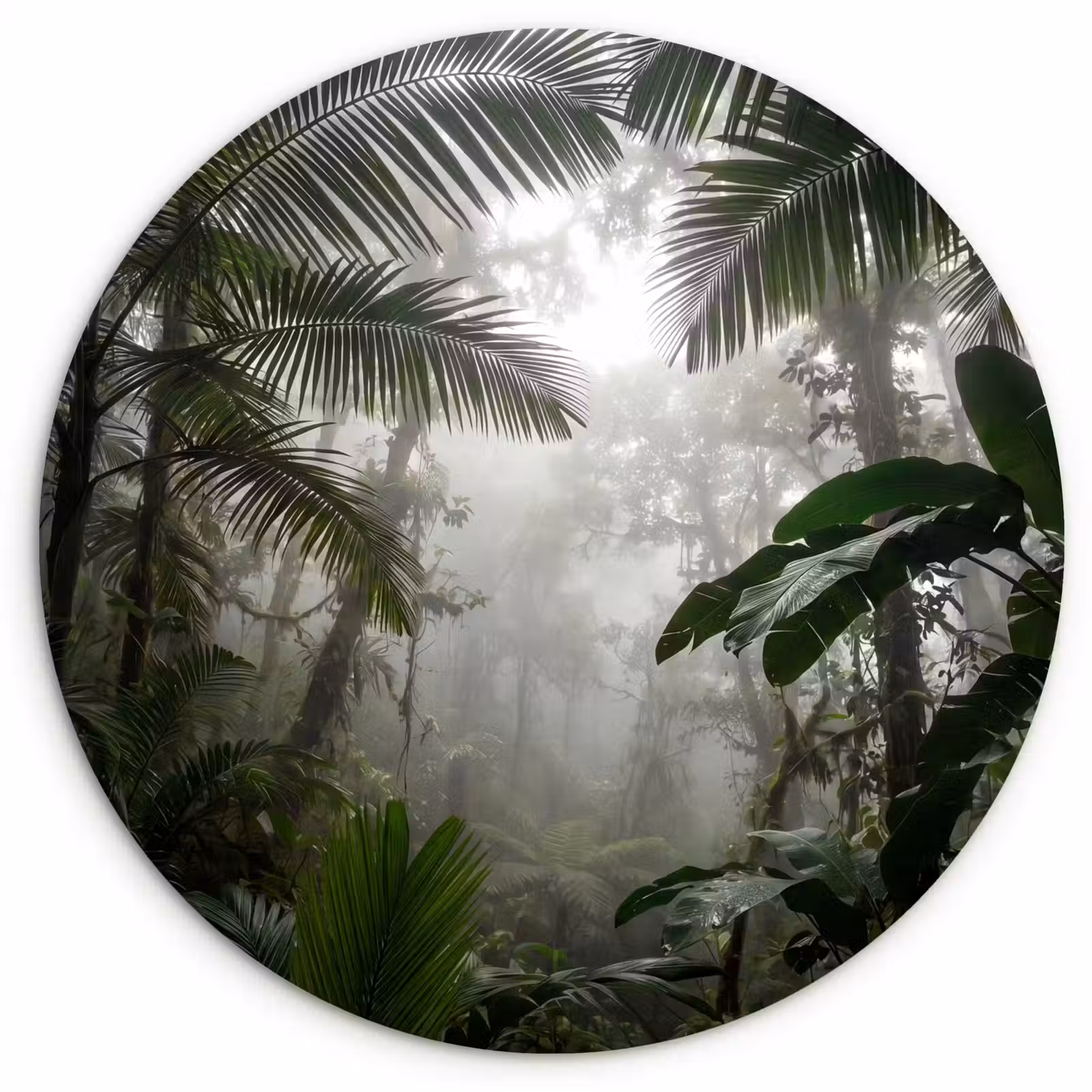 Muurcirkel - Natuur - Jungle - Mist - Groen - Bladeren — 1