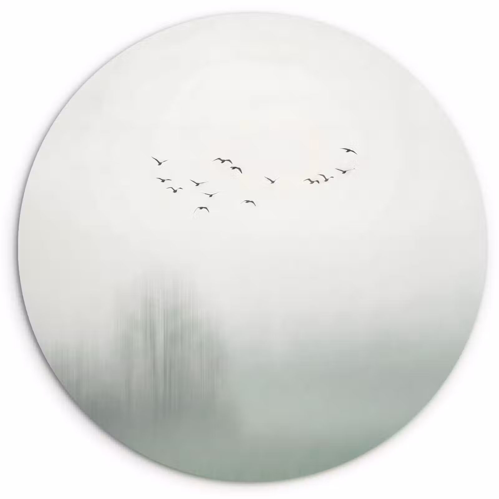 Muurcirkel - Vogel - Vlucht - Natuur - Minimalistisch — 1