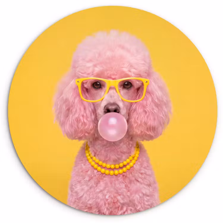 Muurcirkel - Hond - Kauwgum - Dieren - Modern - Roze — 1