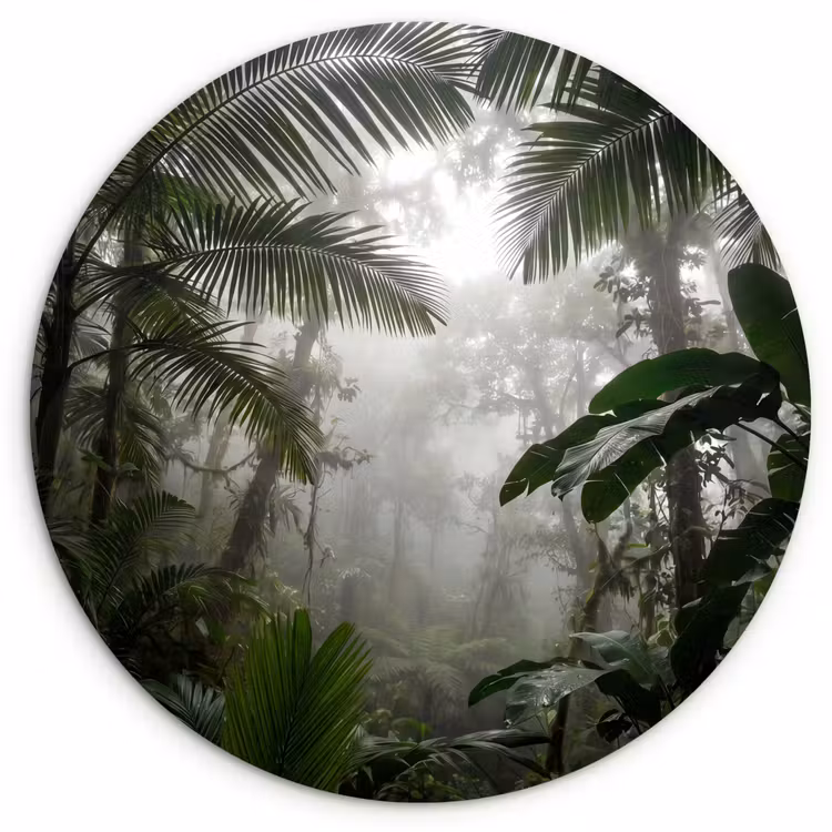 Muurcirkel - Natuur - Jungle - Mist - Groen - Bladeren — 1