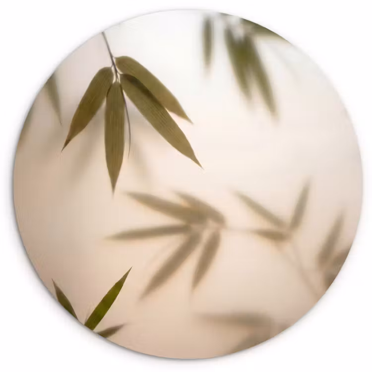Muurcirkel - Planten - Bladeren - Natuur - Groen — 1
