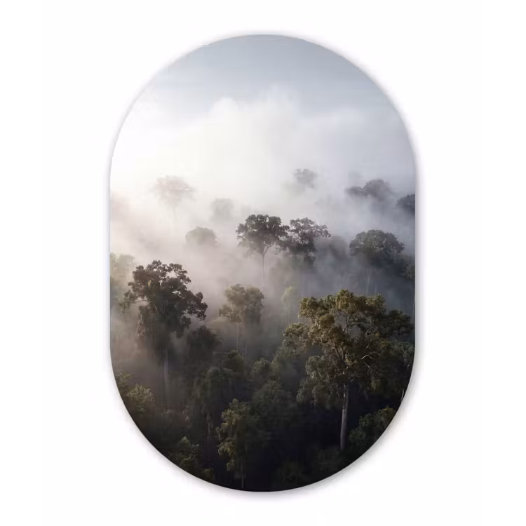Muurovaal aluminium - Bos - Mist - Natuur - Groen — 1