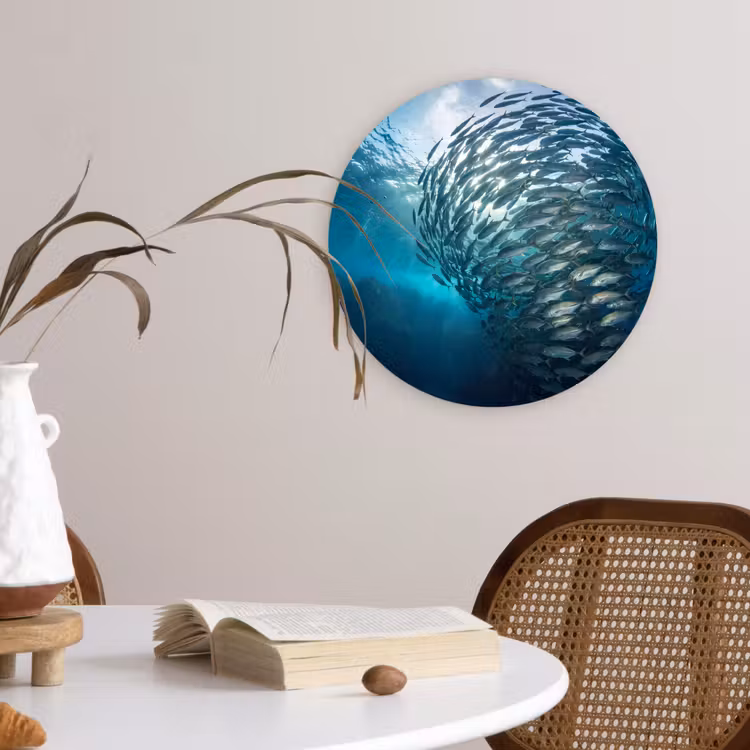 Muurcirkel - Vis - School - Oceaan - Natuur - Blauw — 4