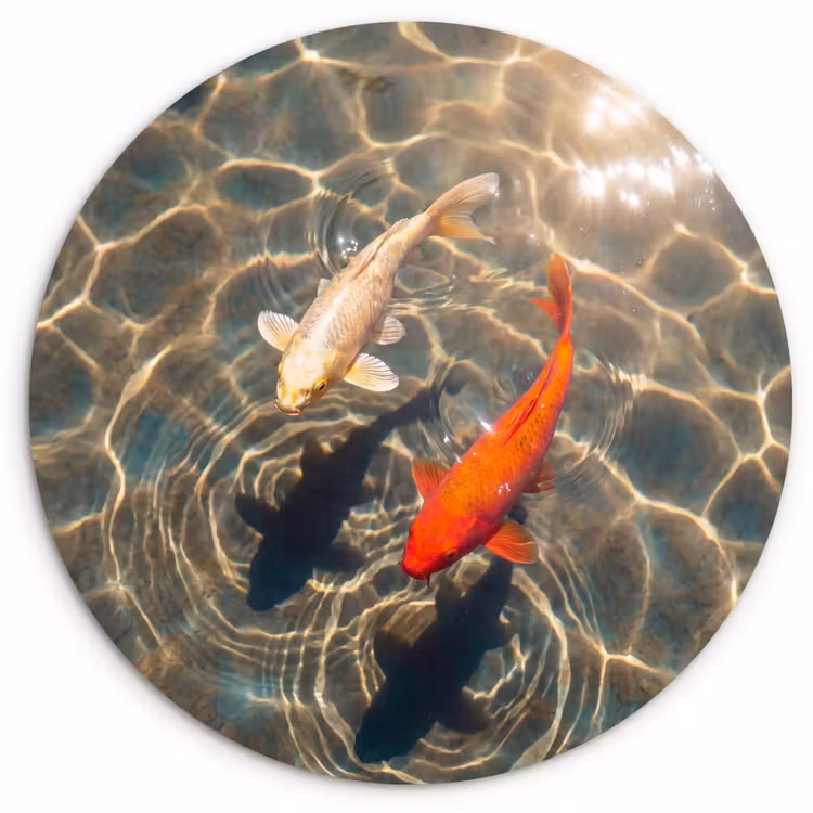 Muurcirkel - Vis - Water - Dieren - Oranje - Goud — 1