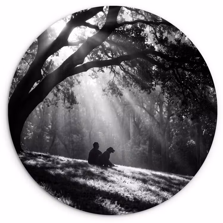 Muurcirkel - Mens - Hond - Natuur - Zwart-wit - Silhouet — 1