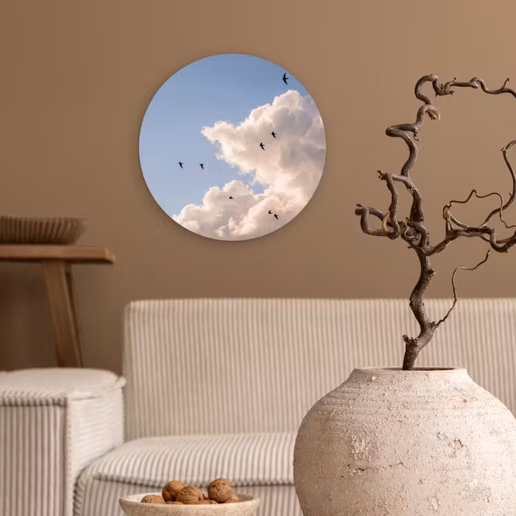 Muurcirkel - Vogel - Vlucht - Wolken - Natuur - Blauw — 2