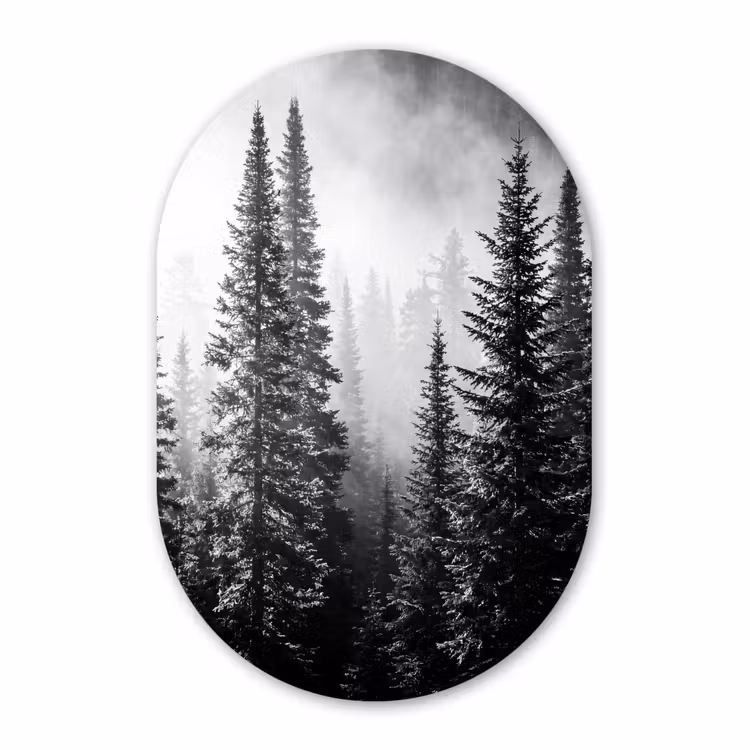 Muurovaal aluminium - Bos - Mist - Winter - Monochroom - Natuur — 1