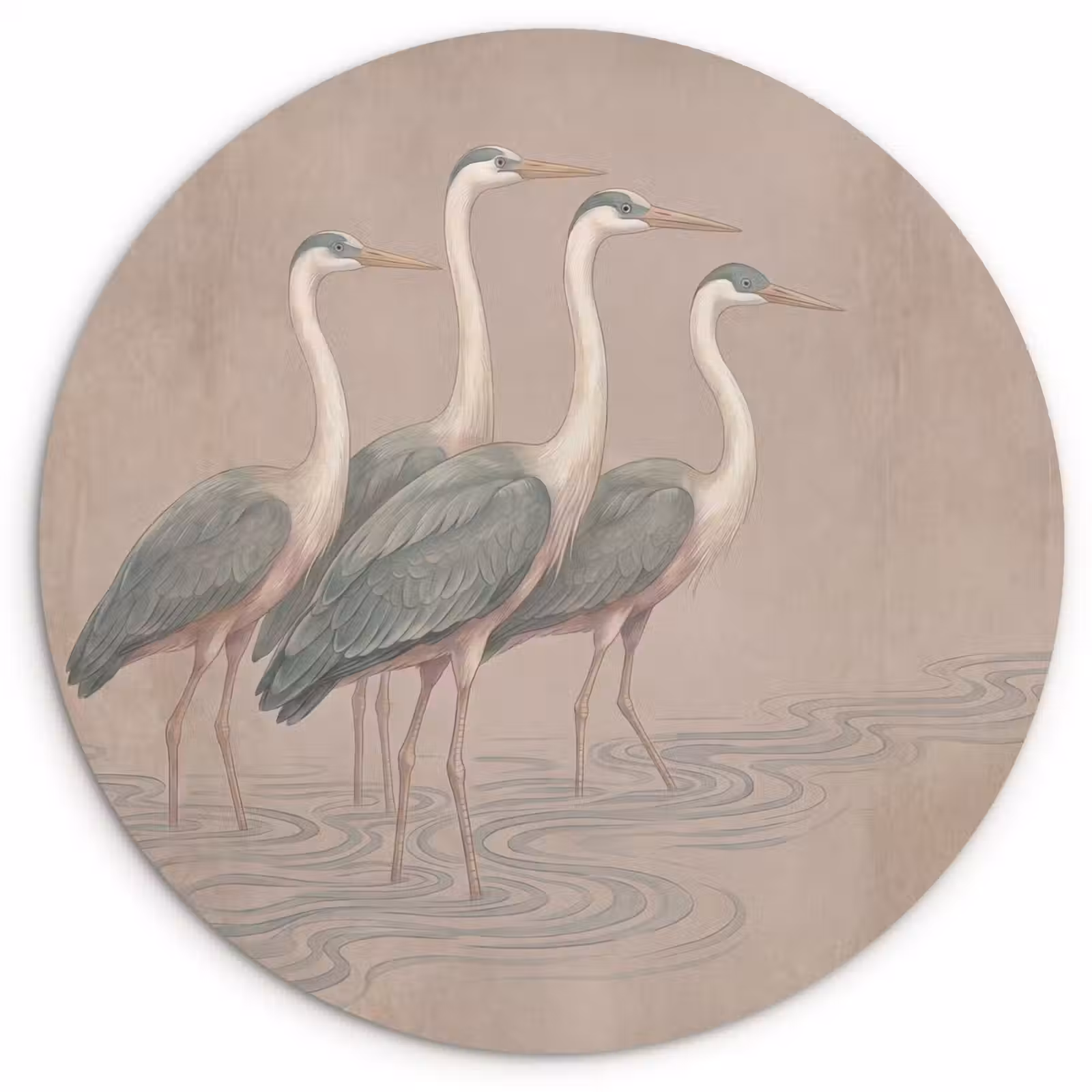 Muurcirkel - Vogel - Water - Natuur - Vintage — 1