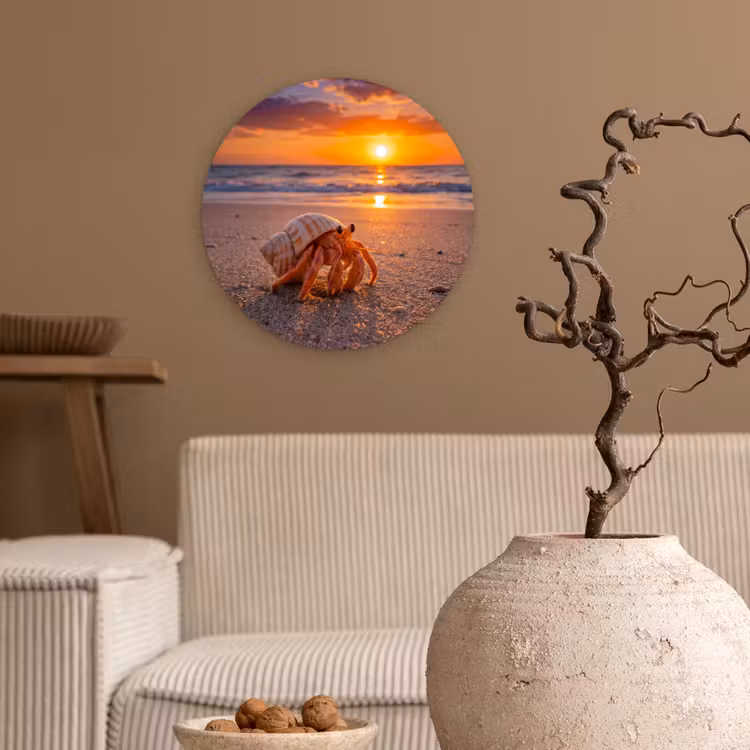 Muurcirkel - Kreeft - Strand - Natuur - Zonsondergang - Oranje — 2