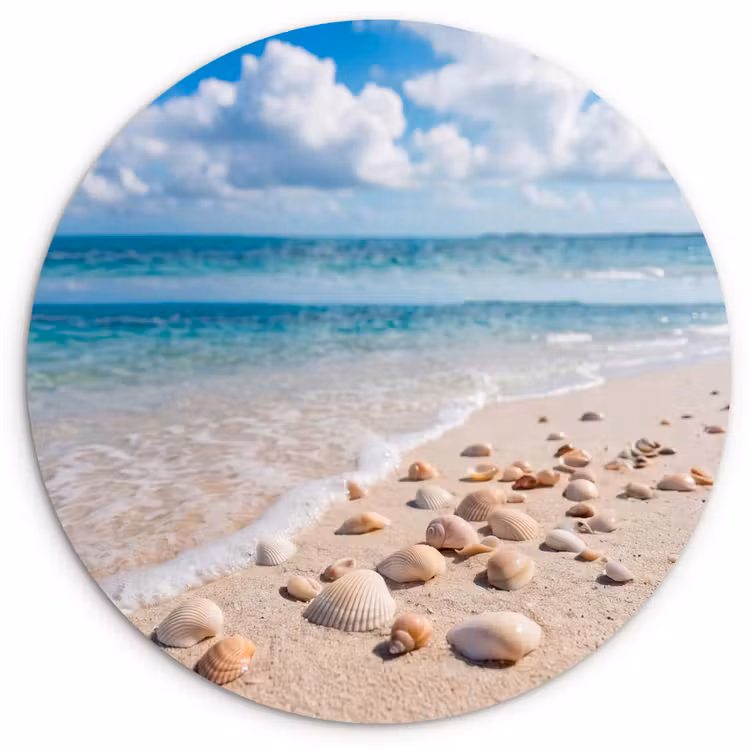 Muurcirkel - Schelpen - Strand - Natuur - Beige — 1