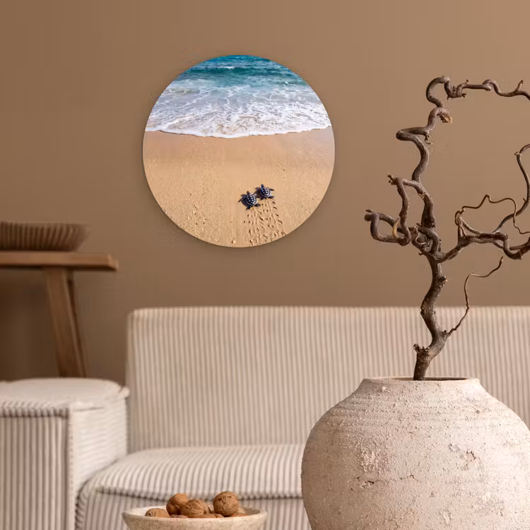 Muurcirkel - Schildpad - Jong - Strand - Oceaan - Blauw — 2
