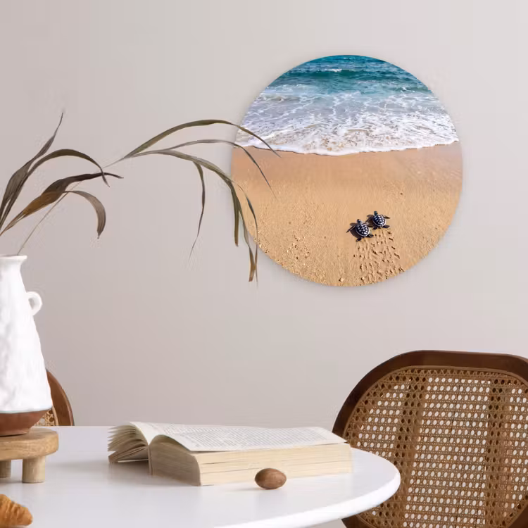 Muurcirkel - Schildpad - Jong - Strand - Oceaan - Blauw — 4