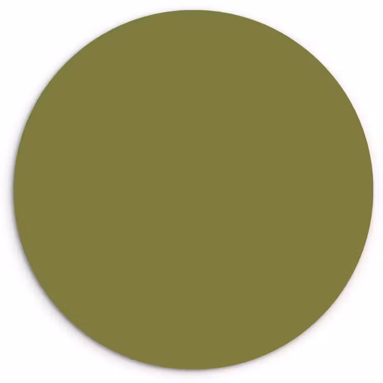 Muurcirkel - Juniper - Groen - Organisch — 1
