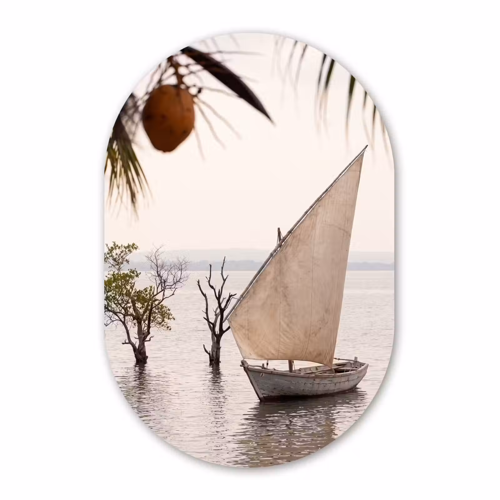 Muurovaal aluminium - Boot - Zeil - Water - Tropisch - Natuur — 1