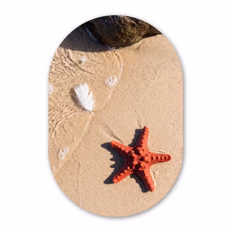 Muurovaal aluminium - Dieren - Strand - Zee - Natuur - Rood — 1