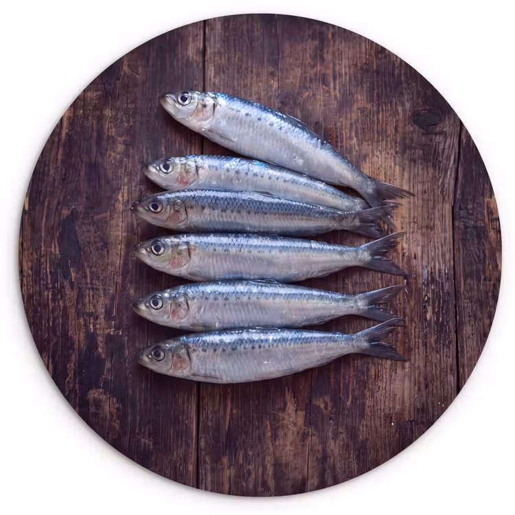 Muurcirkel - Vis - Hout - Eten — 1