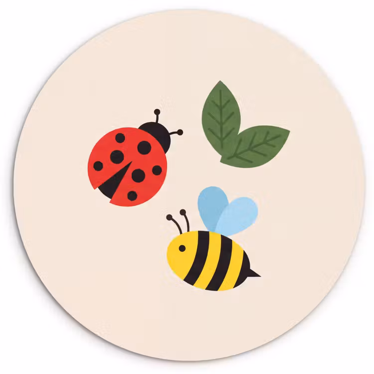 Muurcirkel - Insect - Blad - Natuur - Speels - Illustratie — 1