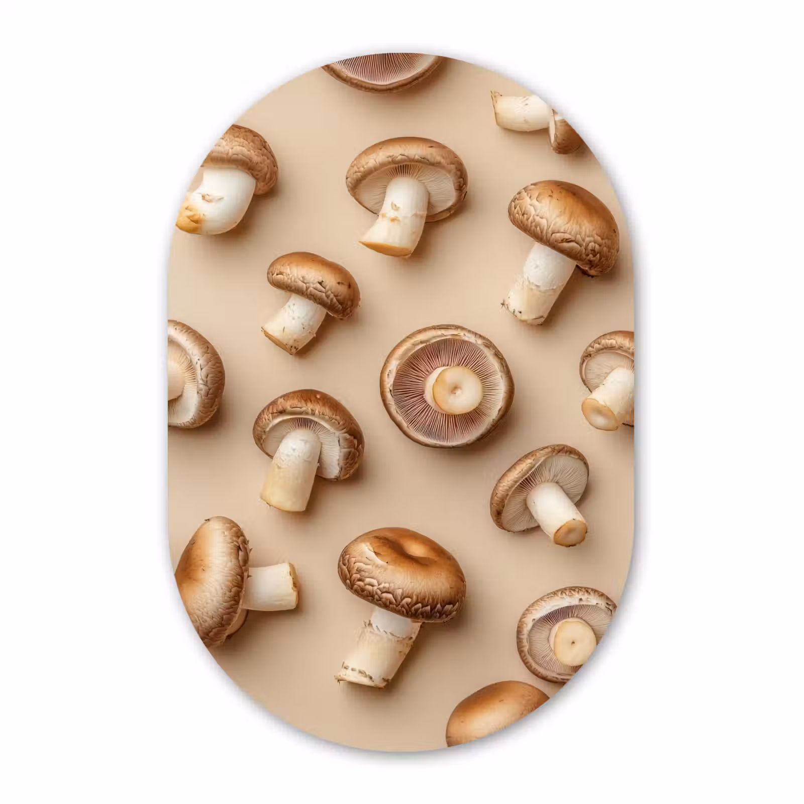 Muurovaal aluminium - Kastanje Champignons - Beige — 1
