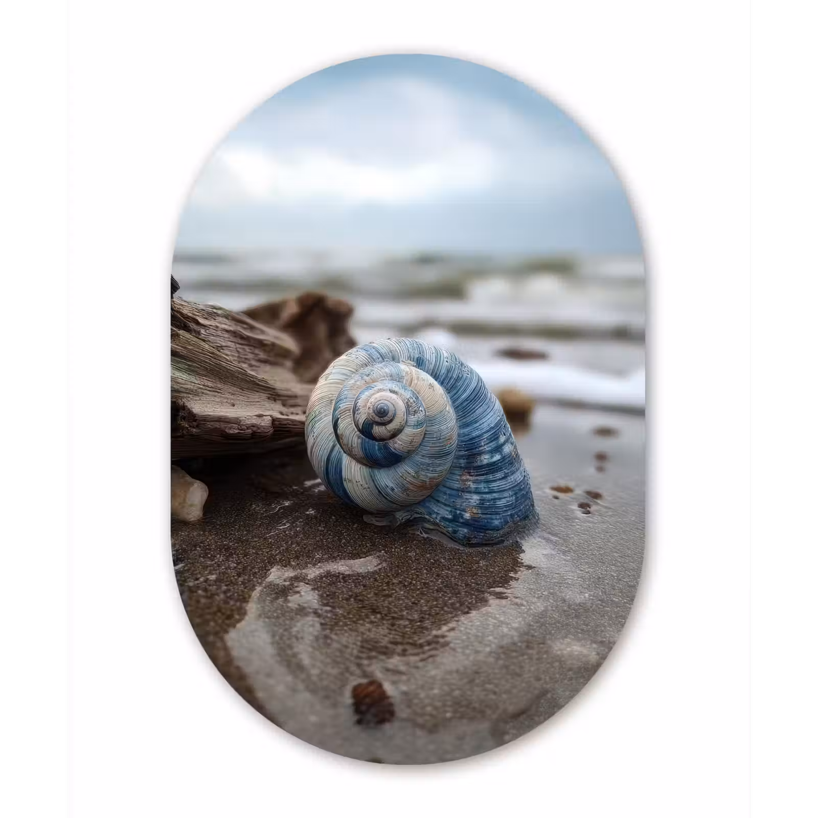 Muurovaal aluminium - Schelp - Strand - Blauw - Zee — 1