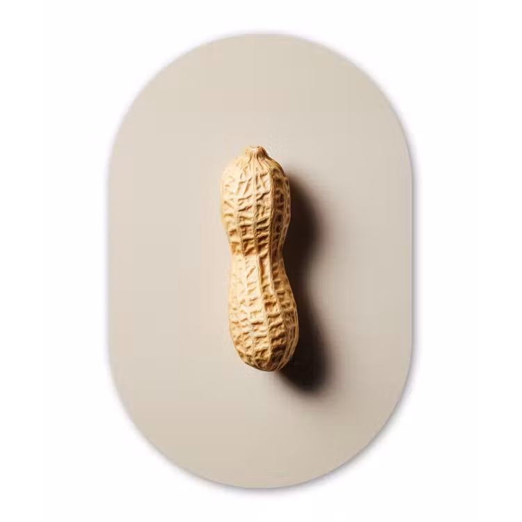 Muurovaal aluminium - Pinda - Ruw - Beige — 1