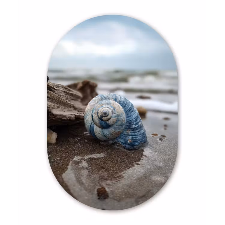 Muurovaal aluminium - Schelp - Strand - Blauw - Zee — 1