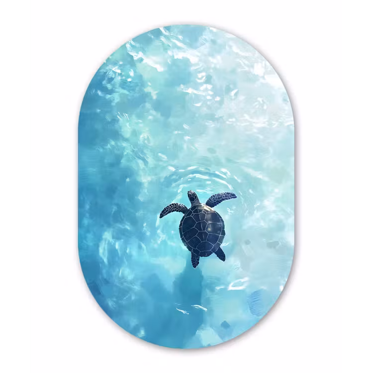 Muurovaal aluminium - Schildpad - Zee - Blauw - Schittering — 1