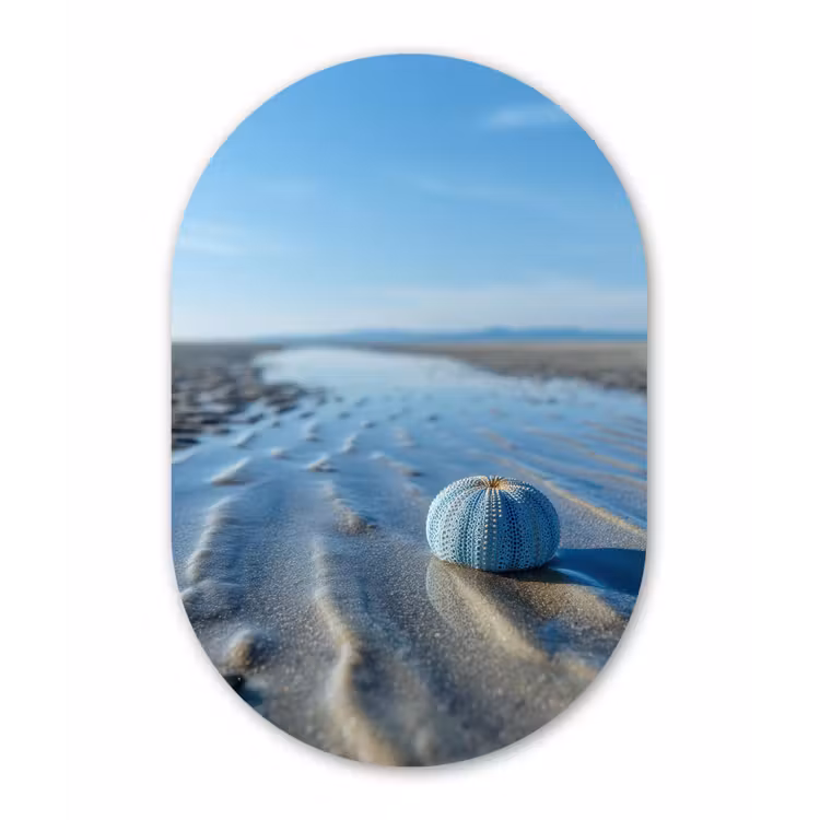 Muurovaal aluminium - Strand - Schild - Water - Blauw — 1