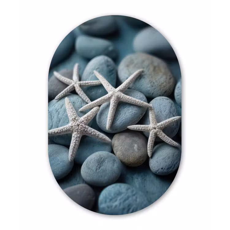 Muurovaal aluminium - Zeesterren - Stenen - Wit — 1