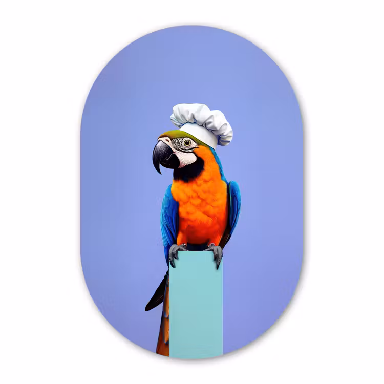 Muurovaal aluminium - Papegaai - Koksmuts - Vogel - Leuk — 1