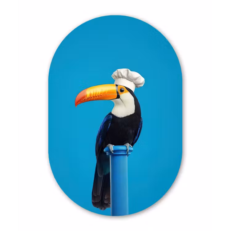 Muurovaal aluminium - Tucan - Sokkel - Vogel - Koksmuts — 1