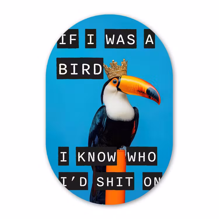 Muurovaal aluminium - Vogel - Toekan - Blauw - Quotes — 1