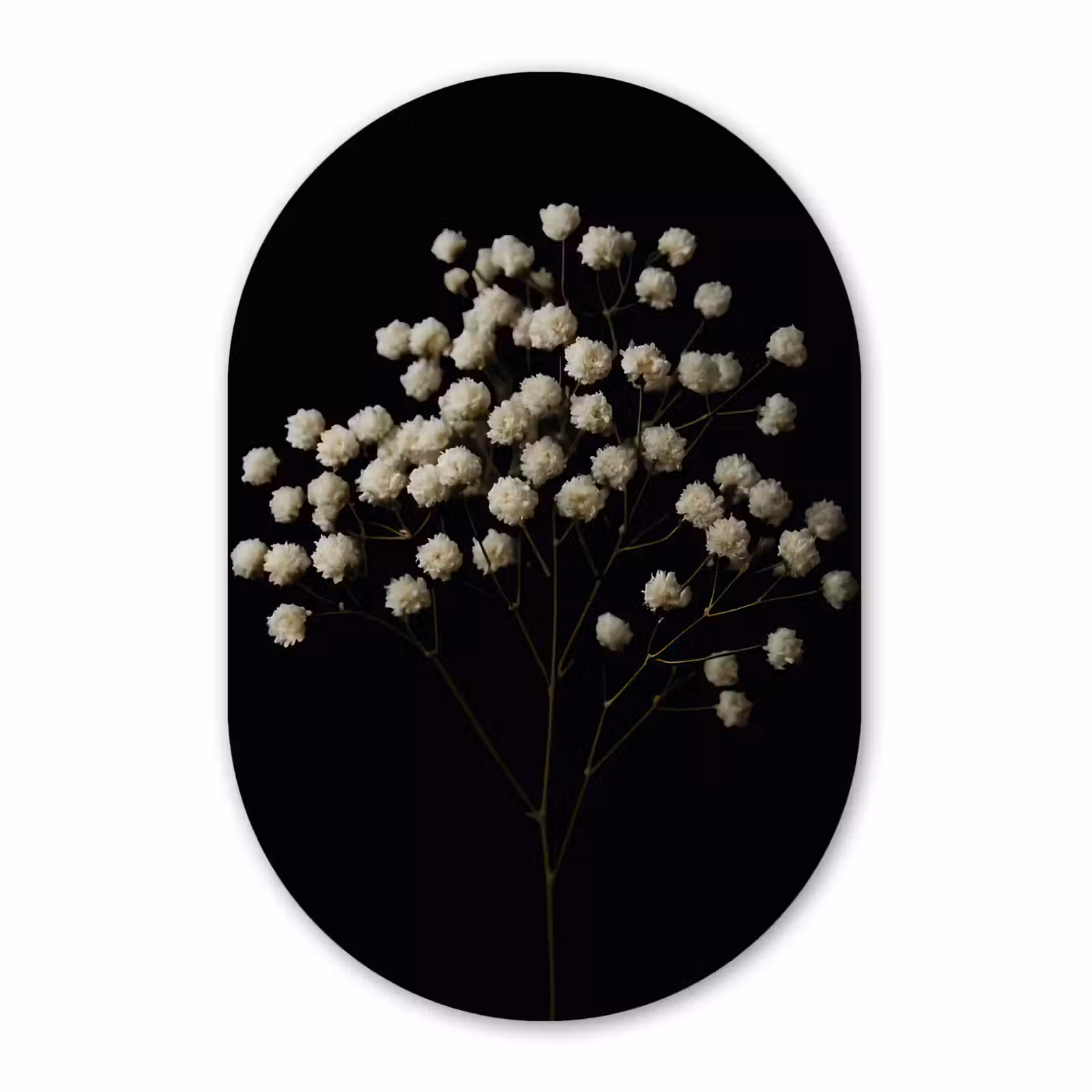 Muurovaal aluminium - Gipskruid - Bloemetjes - Wit - Minimalistisch — 1