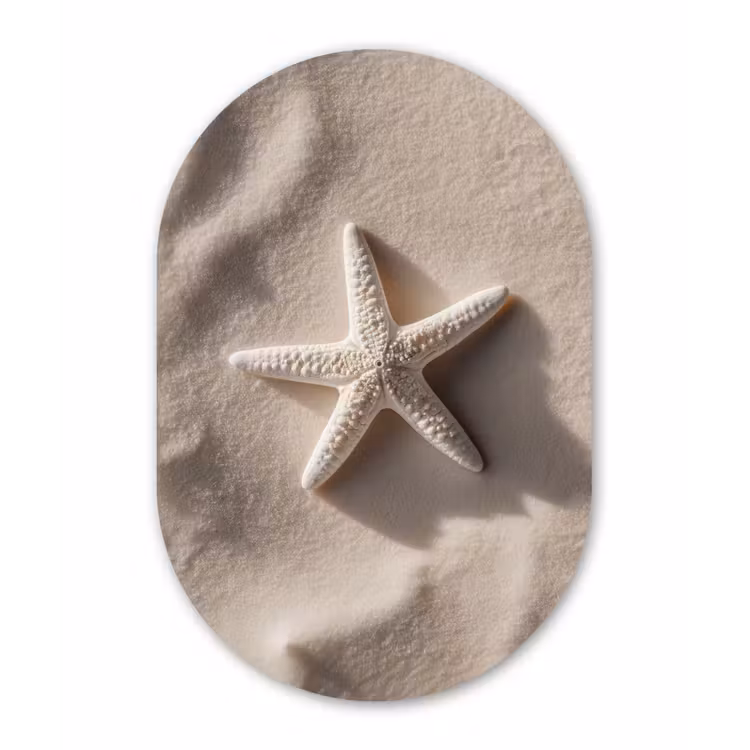 Muurovaal aluminium - Strand - Zeester - Zand - Beige — 1