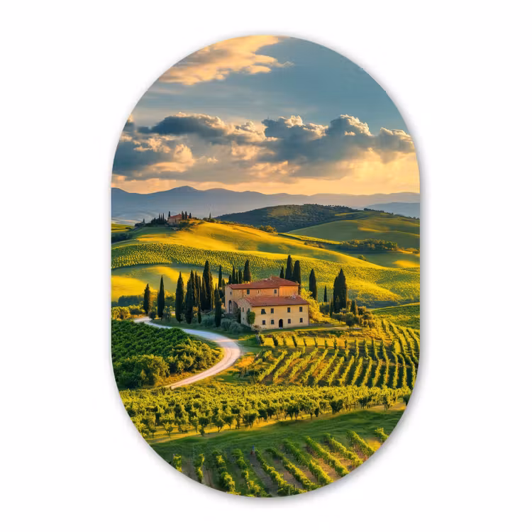 Muurovaal aluminium - Toscane - Landschap - Wijngaarden — 1