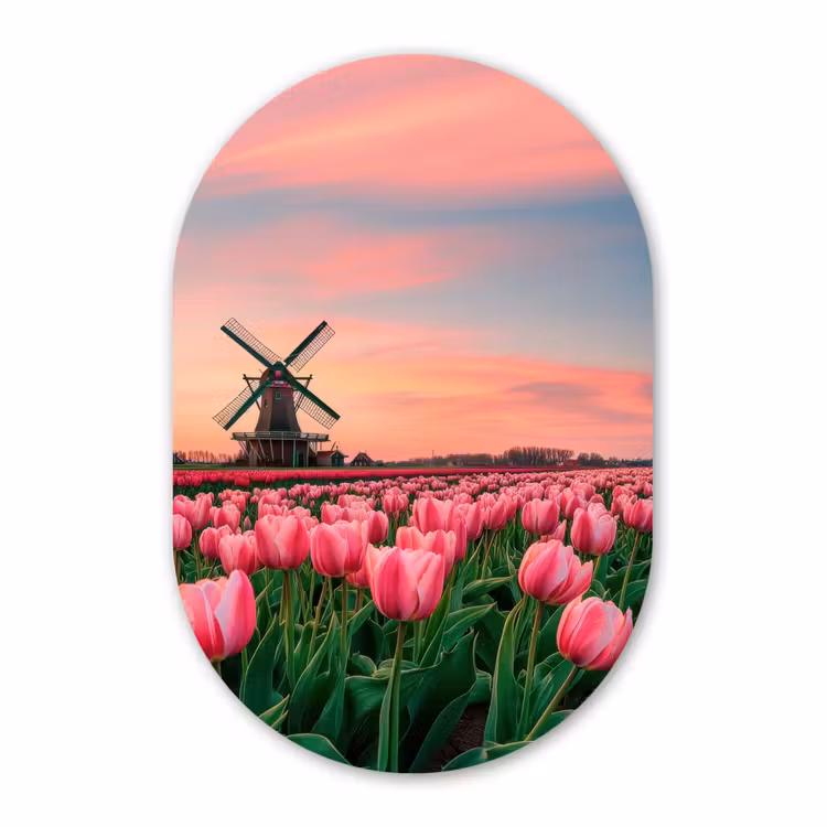 Muurovaal aluminium - Tulpen - Molen - Nederland — 1