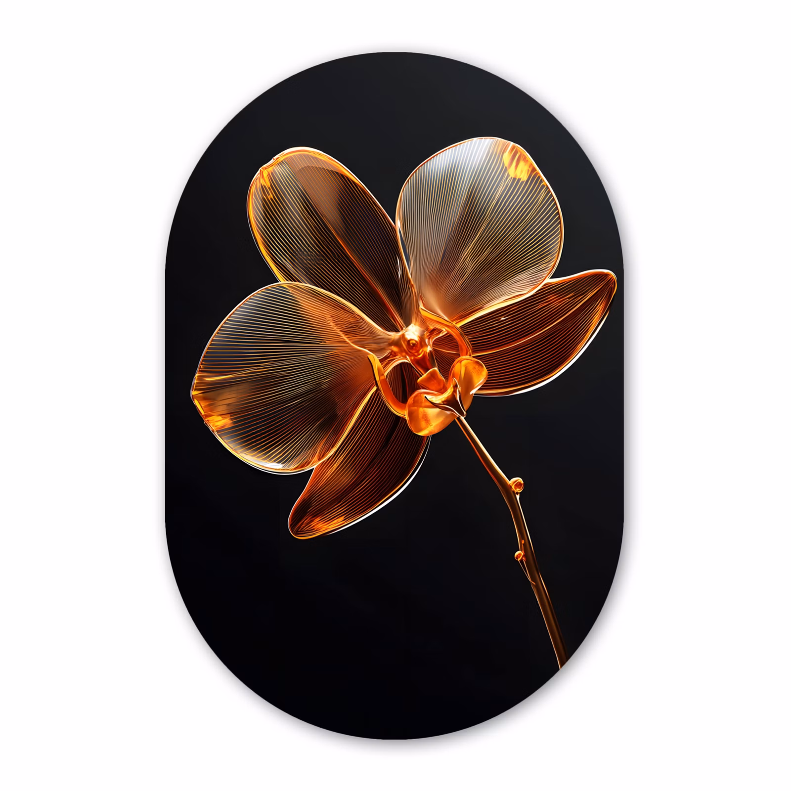 Muurovaal aluminium - Orchidee - Doorzichtig - Bloem — 1