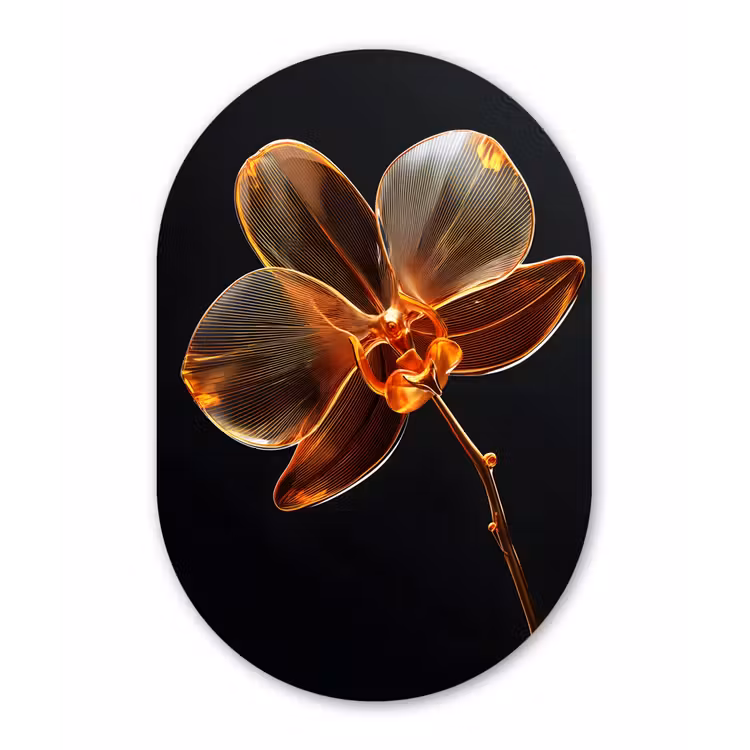 Muurovaal aluminium - Orchidee - Doorzichtig - Bloem — 1