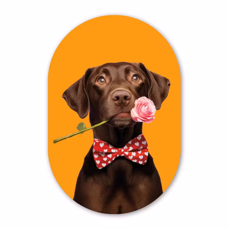 Muurovaal aluminium - Hond - Oranje - Roos - Valentijn — 1