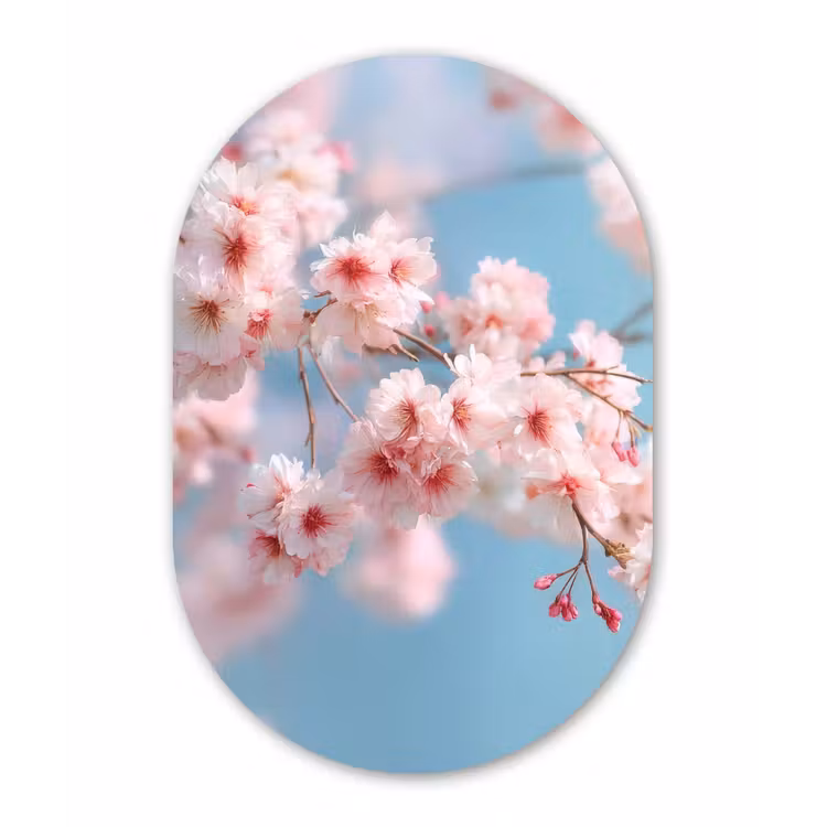Muurovaal aluminium - Takken - Bloesems - Roze — 1