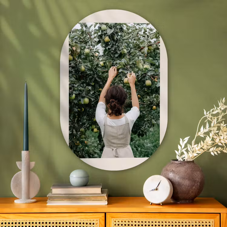 Muurovaal - Glas - Boom - Appels - Plukken - Natuur — 2