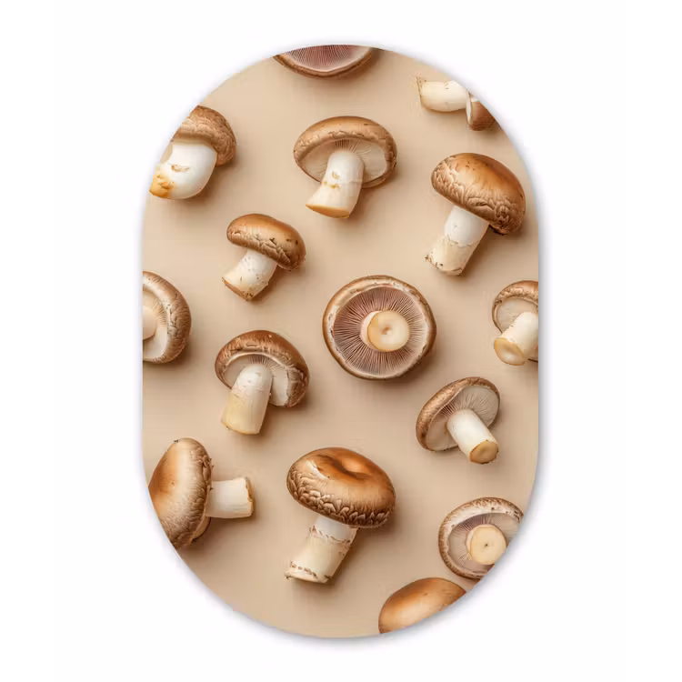 Muurovaal - Glas - Kastanje Champignons - Beige — 1