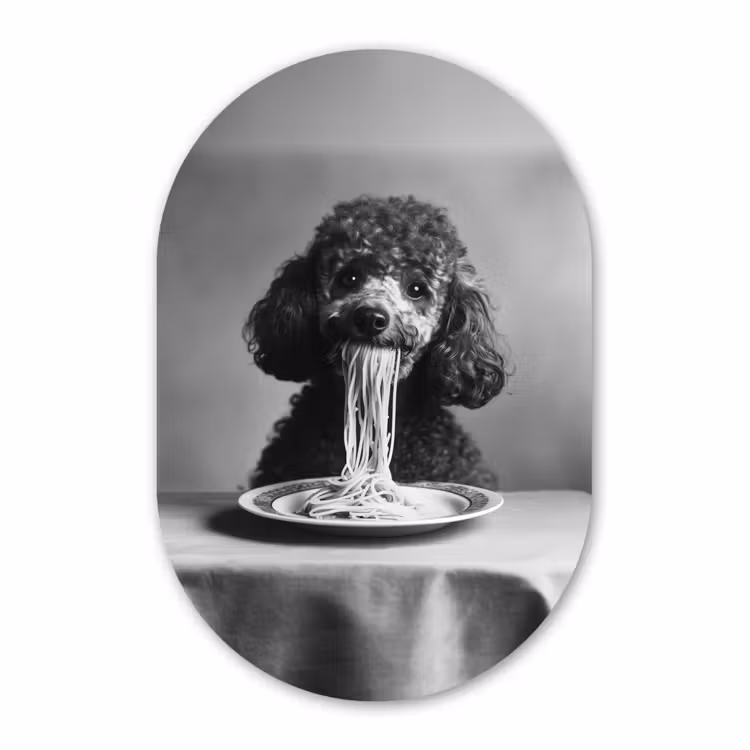 Muurovaal - Glas - Poedel - Hond - Zwart - Wit - Schattig - Pasta — 1