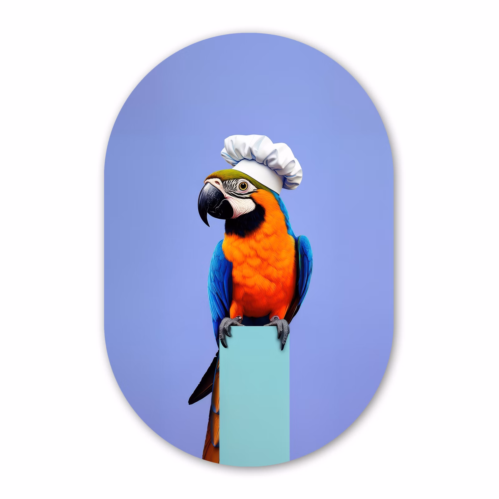Muurovaal - Glas - Papegaai - Koksmuts - Vogel - Leuk — 1