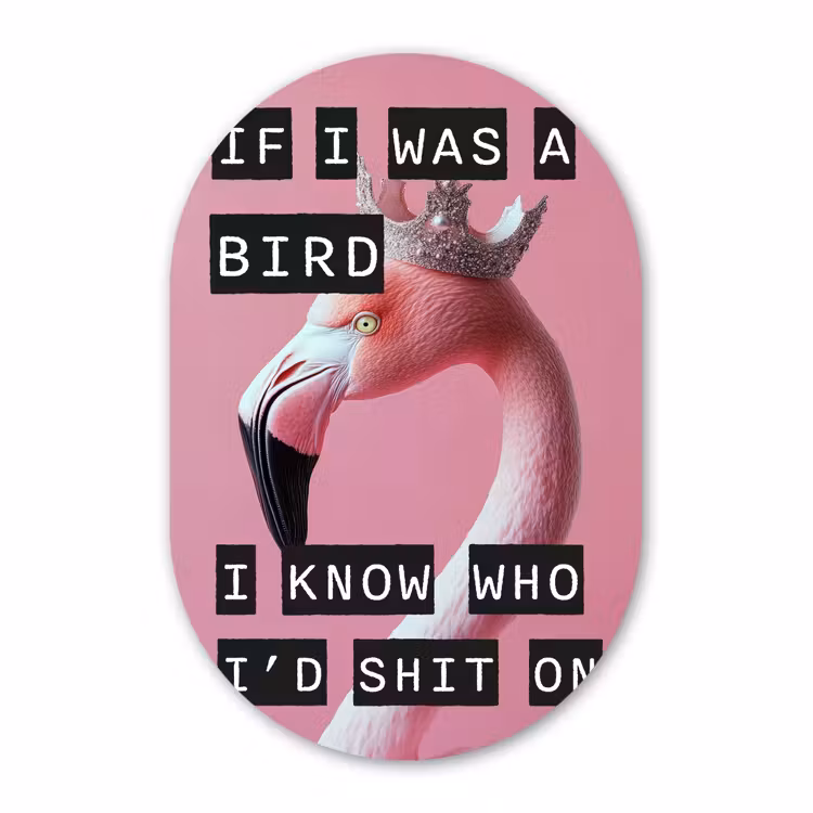 Muurovaal - Glas - Flamingo - Roze - Vogel - Decoratie — 1