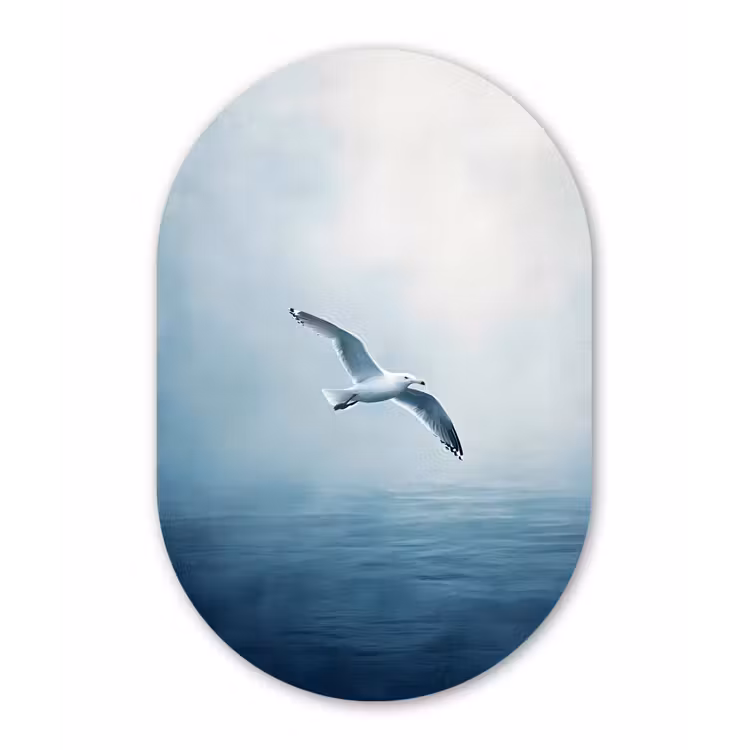 Muurovaal - Glas - Meeuw - Wit - Zee - Mistig — 1