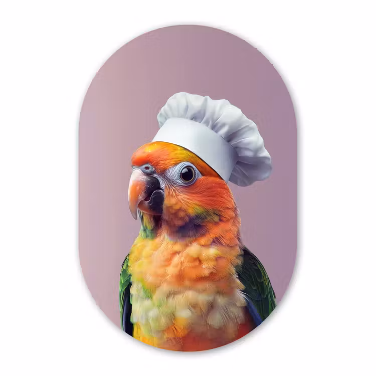 Muurovaal - Glas - Papegaai - Koksmuts - Nieuwsgierig - Vogel — 1