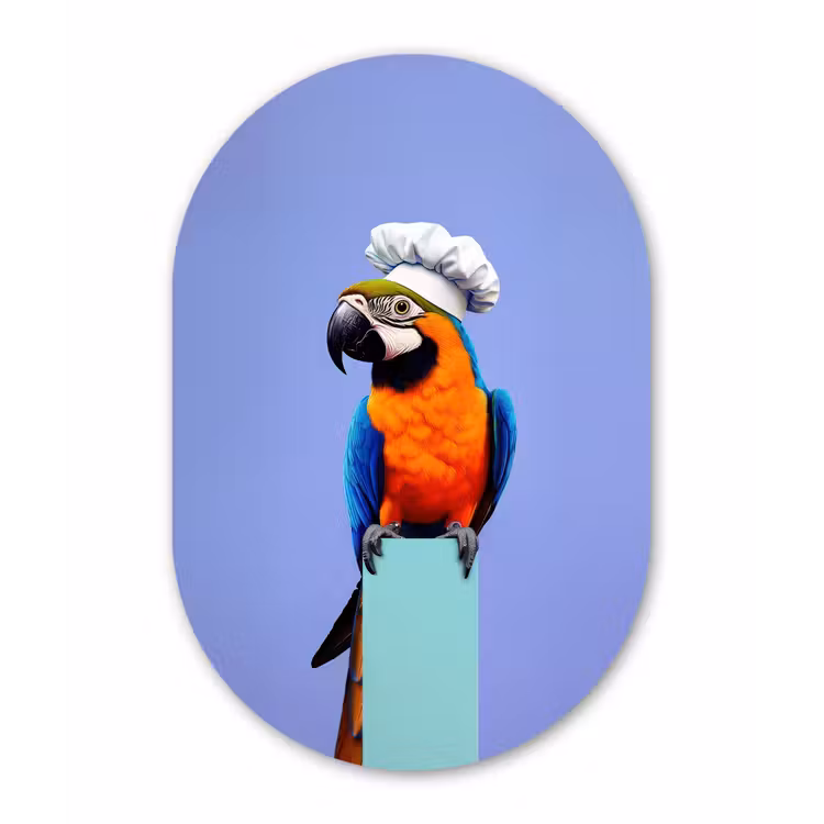 Muurovaal - Glas - Papegaai - Koksmuts - Vogel - Leuk — 1