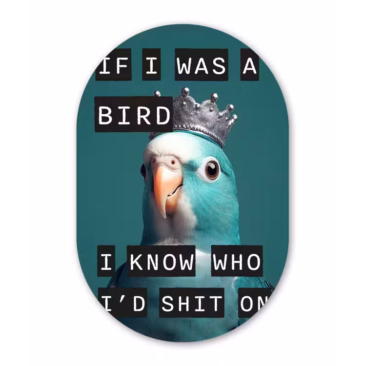 Muurovaal - Glas - Parkiet - Turquoise - Quotes - Decoratie — 1