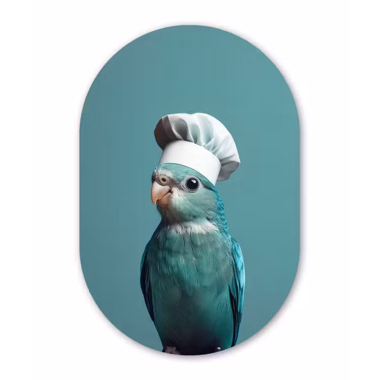 Muurovaal - Glas - Parkiet - Vogel - Koksmuts - Cute — 1