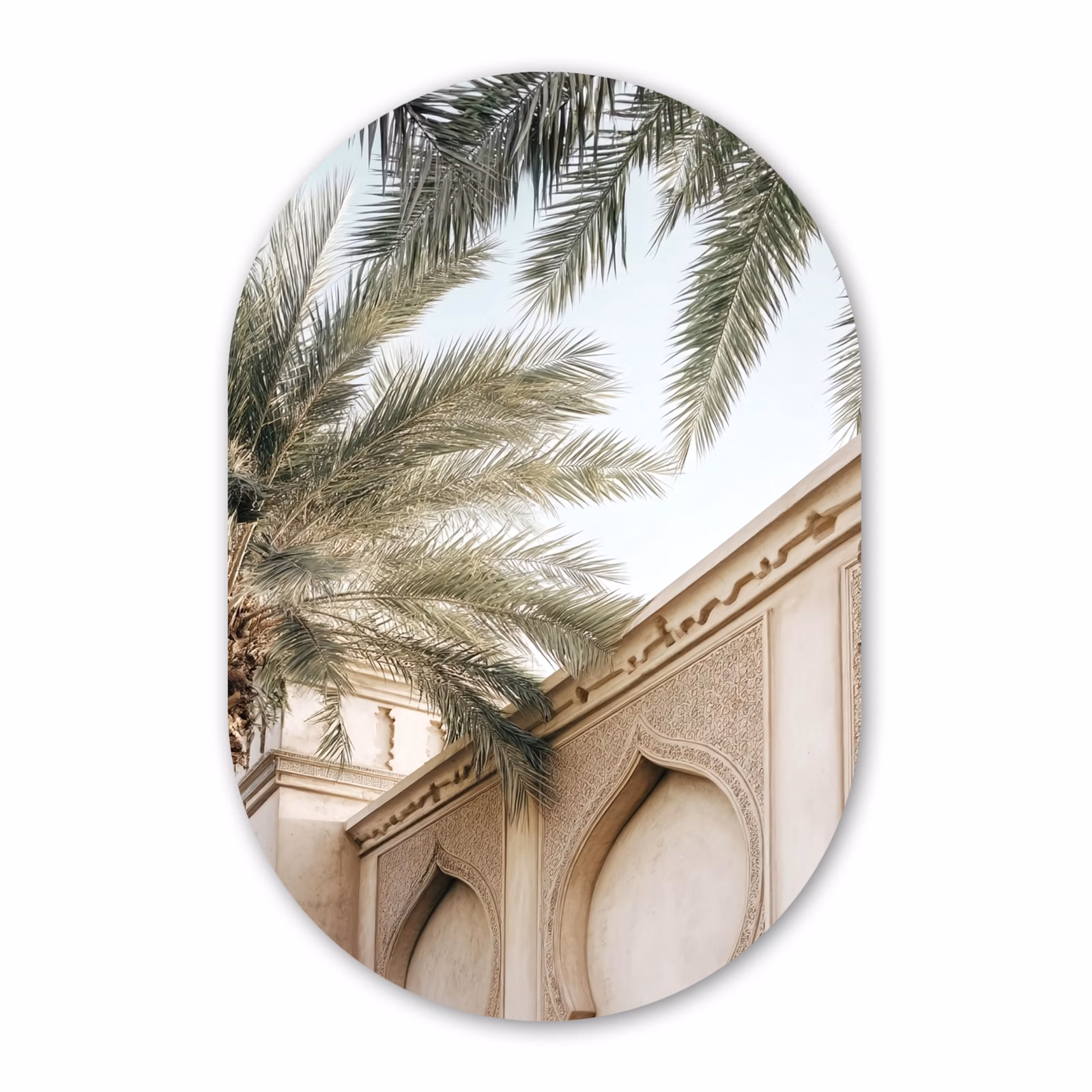 Muurovaal - Glas - Gebouw - Palmbomen - Beige - Zon — 1